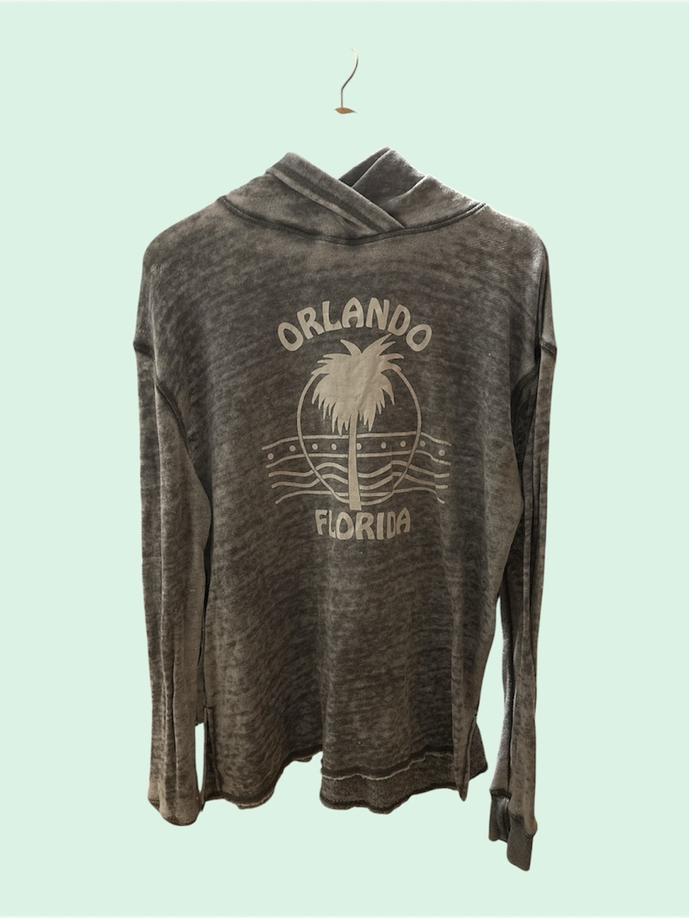Orlando Florida Palm Graphic Hooded Sweatshirt - Gray